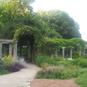 Meet your Posher, Sharon